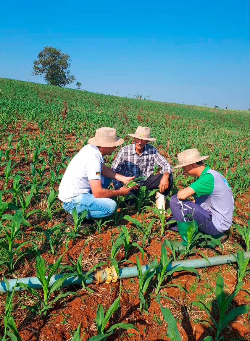 A direção incrementou o setor da assistência técnica saltando de apenas um profissional que atuava em um turno, para 16 profissionais atuando em turno integral para a Cotrifred.<br />Das cooperativas mais sólidas do Estado, entre 50 pesquisadas pela Fecoagro RS, a Cotrifred ficou no sexto lugar em termos de liquidez.<br />Entre 2010 e 2012, a direção criou mais de 50 novos postos de trabalho, contribuindo para que em 2012 as agropecuárias tivesses um incremento de mais de 35% no faturamento e os supermercados mais de 14%.